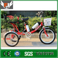 26 Inch 36V Electro-Tricycle